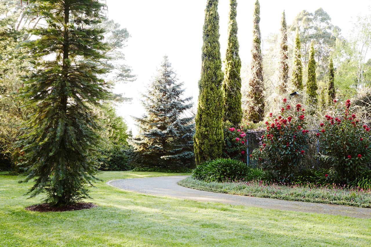 בית הארחה אולינדה 	Beechmont Garden Retreat מראה חיצוני תמונה