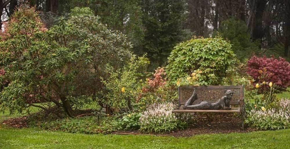 בית הארחה אולינדה 	Beechmont Garden Retreat מראה חיצוני תמונה