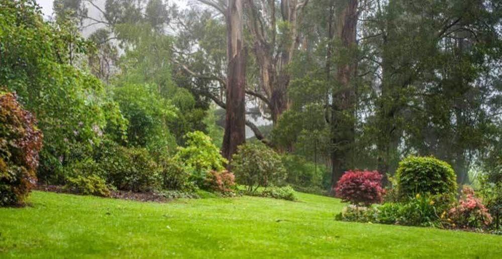 בית הארחה אולינדה 	Beechmont Garden Retreat מראה חיצוני תמונה