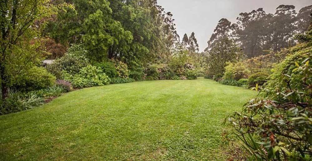 בית הארחה אולינדה 	Beechmont Garden Retreat מראה חיצוני תמונה
