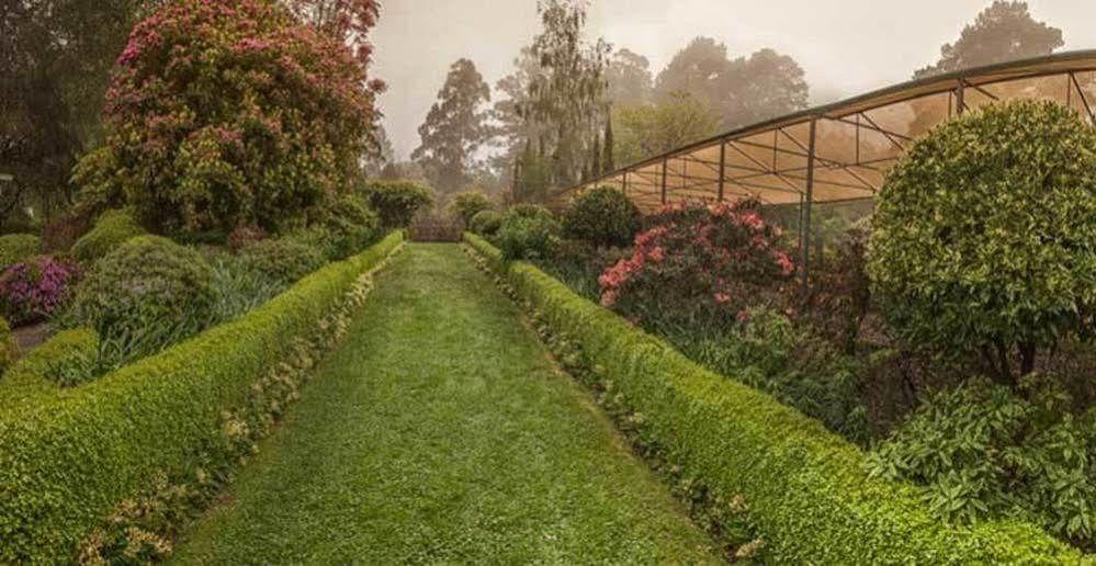 בית הארחה אולינדה 	Beechmont Garden Retreat מראה חיצוני תמונה