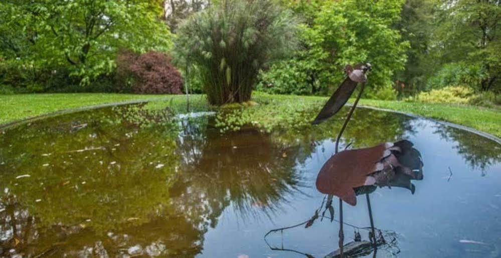 בית הארחה אולינדה 	Beechmont Garden Retreat מראה חיצוני תמונה